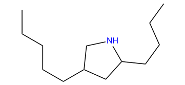 2-Butyl-4-pentylpyrrolidine