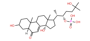 2-Deoxyecdysone-22-phosphate