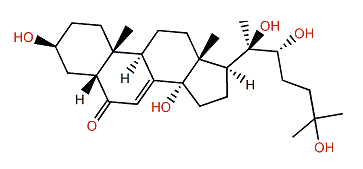 2-Deoxy-20-hydroxyecdysone