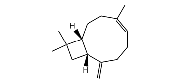 2-epi-(E)-a-Caryophyllene