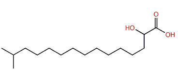 2-Hydroxy-14-methylpentadecanoic acid