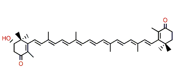 2-Hydroxy-beta,beta-carotene-4,4'-dione