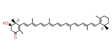 2-Hydroxy-beta,beta-caroten-4-one