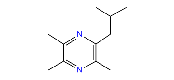 2-(2-Methylpropyl)-3,5,6-trimethylpyrazine
