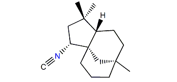 2-Isocyanoclovane