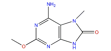 6-Amino-2-methoxy-7-methyl-7H-purin-8(9H)-one