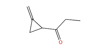 2-Methylene-1-propionyl-cyclopropane