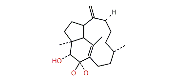 2-Oxotrinervita-1(15),8(19)-dien-3a-ol