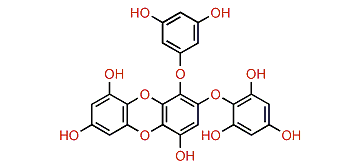 2-Phloroeckol