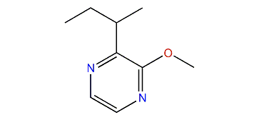 2-sec-Butyl-3-methoxypyrazine
