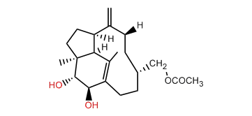 20-Acetoxy-2b,3a-dihydroxy-1(15),8(19)-trinervitadiene