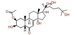 20-Hydroxyecdysone-2-acetate