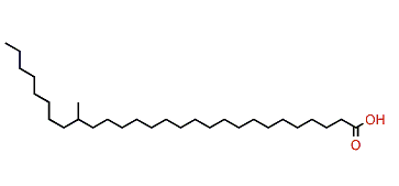 20-Methyloctacosanoic acid