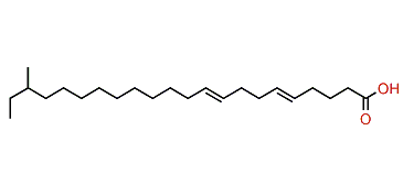 (E,E)-20-Methyl-5,9-docosadienoic acid