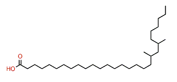 20,22-Dimethyloctacosanoic acid