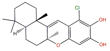 21-Chloropuupehenol