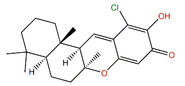 21-Chloropuupehenone