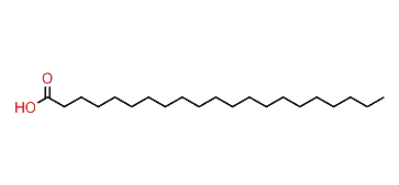 Heneicosanic acid