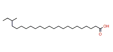 21-Methyltricosanoic acid