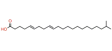 (E,E)-21-Methyl-5,9-docosadienoic acid