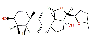 22,25-Oxidoholothurinogenin