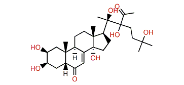 22-Acetyl-20-hydroxyecdysone
