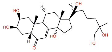 22-Deoxy-20,26-dihydroxyecdysone