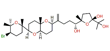 22-Hydroxy-15(28)-dehydrovenustatriol