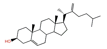 22-Methylenecholest-5-en-3b-ol
