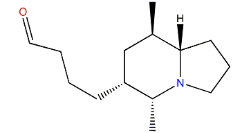 5,6,8-Indolizidine 223C
