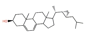 (22R,23R)-22,23-Methylenecholesta-5,7-dien-3b-ol