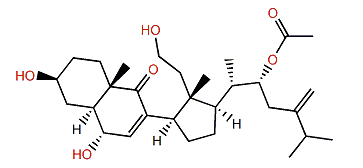 22a-Acetoxy-24-methylene-3b,6a,11-trihydroxy-9,11-secocholest-7-en-9-one