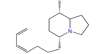 5,8-Indolizidine 233D