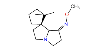 Spiropyrrolizidine 236
