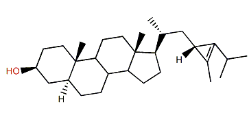(23S)-23H-5a-Isocalystan-3b-ol