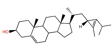 (23S)-23H-Isocalysterol