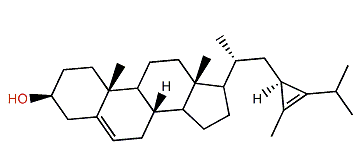 (23R)-23,28-Cyclostigmasta-5,24(28)-dien-3b-ol