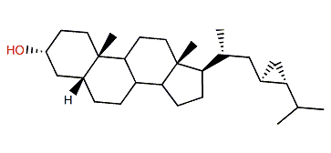 (23R,24R)-23,24-Methylene-5b-cholestane-3a-ol