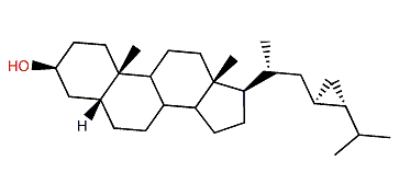 (23R,24R)-23,24-Methylene-5b-cholestane-3b-ol
