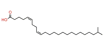 (Z,Z)-23-Methyl-5,9-tetracosadienoic acid