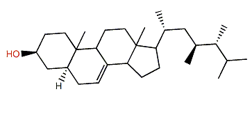(24R)-23,24-Dimethyl-5a-cholest-7-en-3b-ol