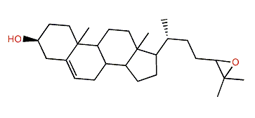 24,25-Epoxycholest-5-en-3b-ol