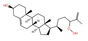 24-Hydroperoxycholesta-5,25-dien-3b-ol
