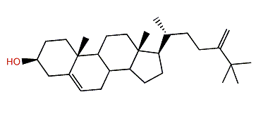 24,25-Dimethyl-5a-cholesta-5,24(24)-dien-3b-ol
