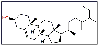 24-Methylene-27-methyl-5-cholesten-3beta-ol