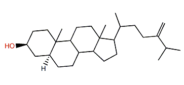 24-Methylene-5a-cholestane-3b-ol