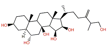 24-Methylene-5a-cholestane-3b,6a,8,15b,16,26-hexol