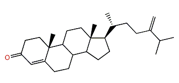 (24-Methylene)-ergost-4-en-3-one