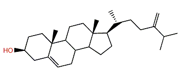 24-Methylenecholest-5-en-3b-ol