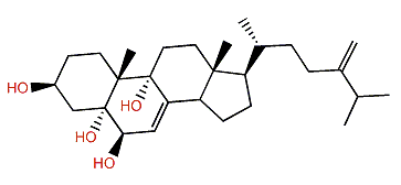 24-Methylenecholest-7-en-3b,5a,6b,9a-tetrol